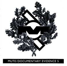 Mute Documentary Evidence 5 five printed booklet image picture
